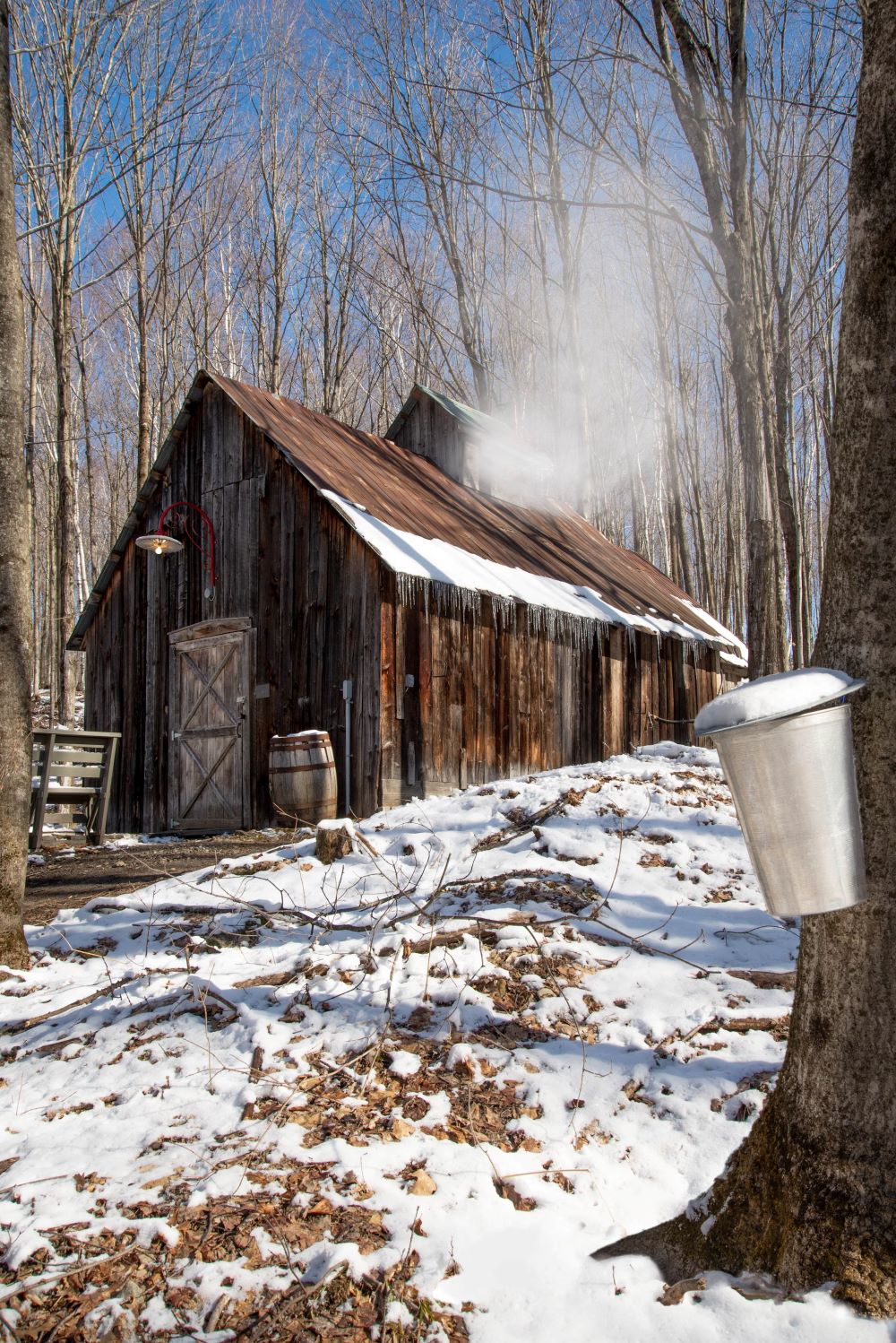 Sugar shack