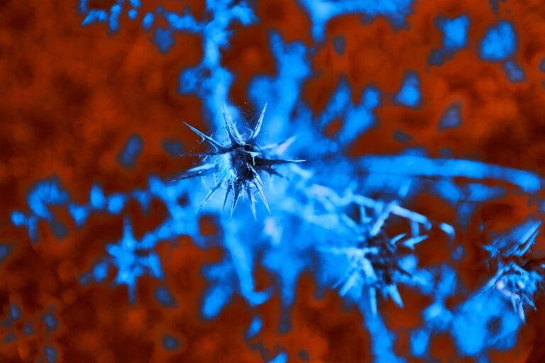 Leading researchers showcase quantum machine learning results