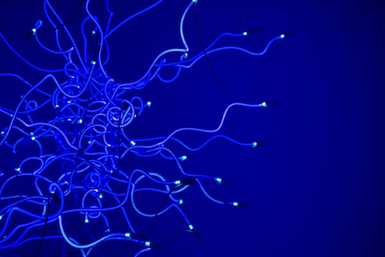Le géant de la technologie présente un système de réseau neuronal quantique