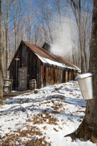 Sugar Shack