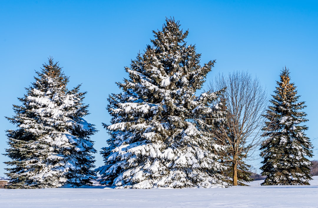 comportement des consommateurs