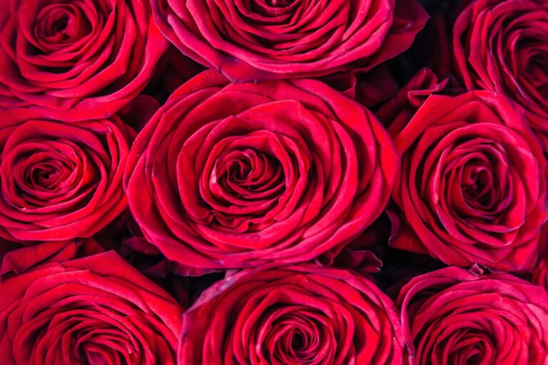 Optimize payments for