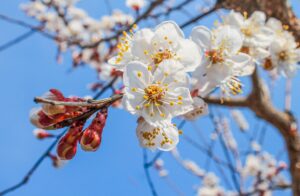 Habitudes des consommateurs