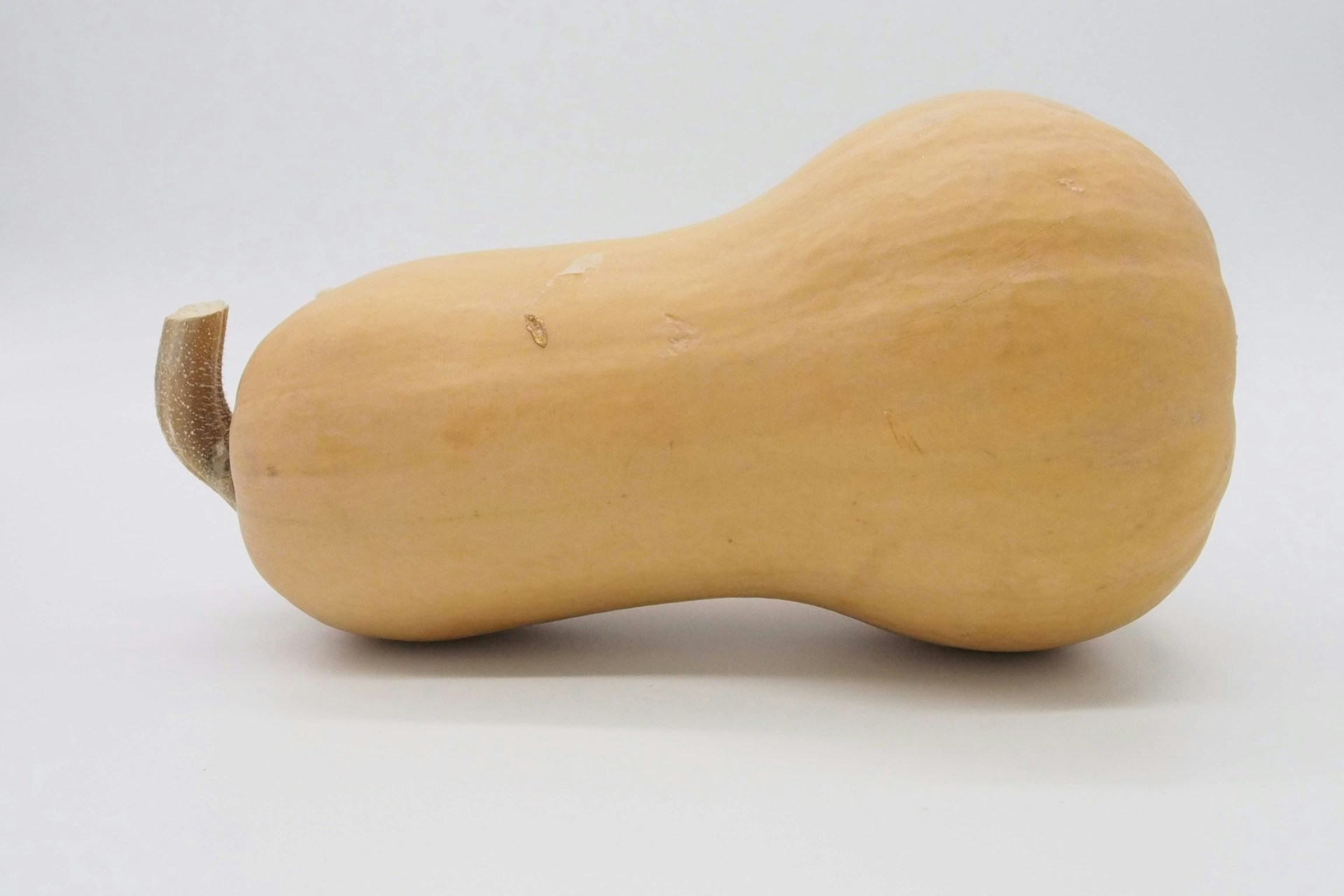 Courge musquee